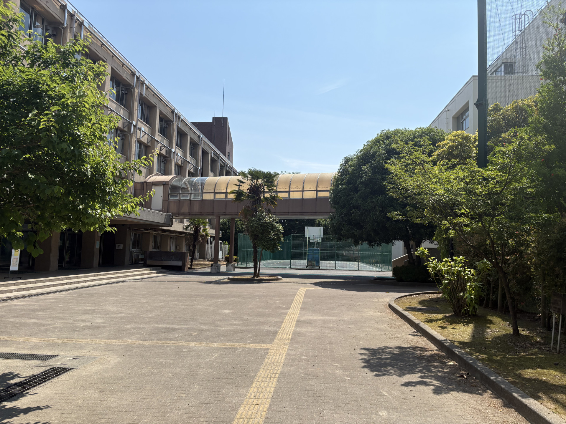 画像 -20260520-005940-6e0bfbc5